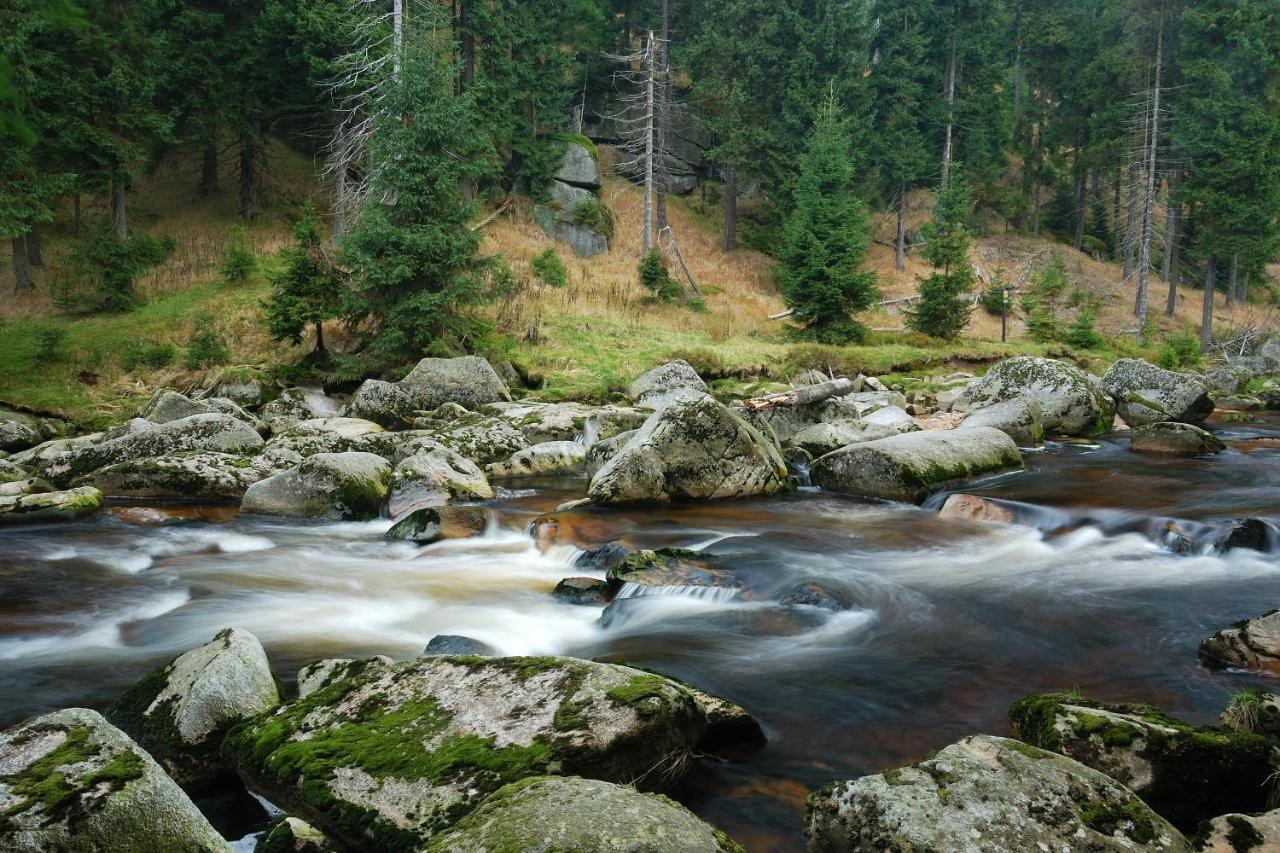 Penzion Zrzka Kořenov Exterior foto